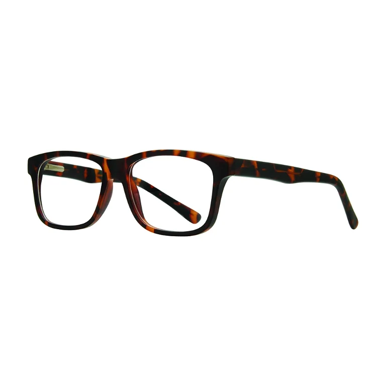 Stylewise Eyeglasses SW523