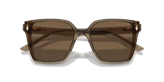 Jimmy Choo Sunglasses JC5016D
