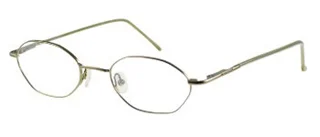 Guess Eyeglasses GU 452