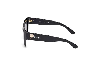 Emilio Pucci Sunglasses EP0215