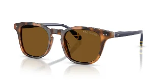 608983 Shiny Tortoise