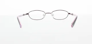 Polo Eyeglasses PP8015