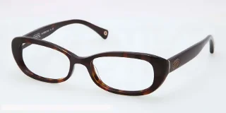 5001 Tortoise