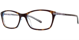 Tort/Blue