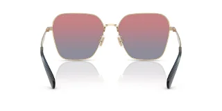 Coach Sunglasses HC7168