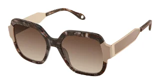 S402-F-2133 Ash Taupe