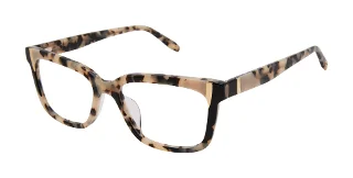 IVO Ivory Tortoise