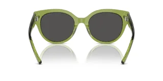 Coach Sunglasses HC8393U