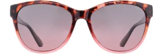 INVU Sunglasses INVU- 312