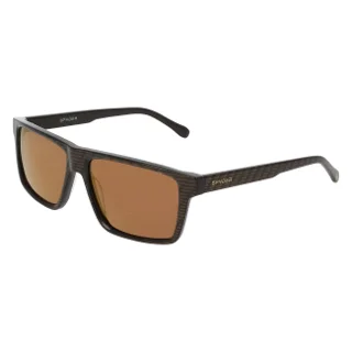 205 Brown Carbon