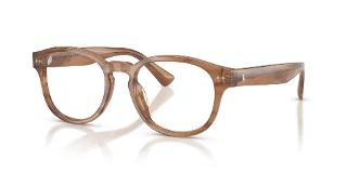 6138 Shiny Tortoise
