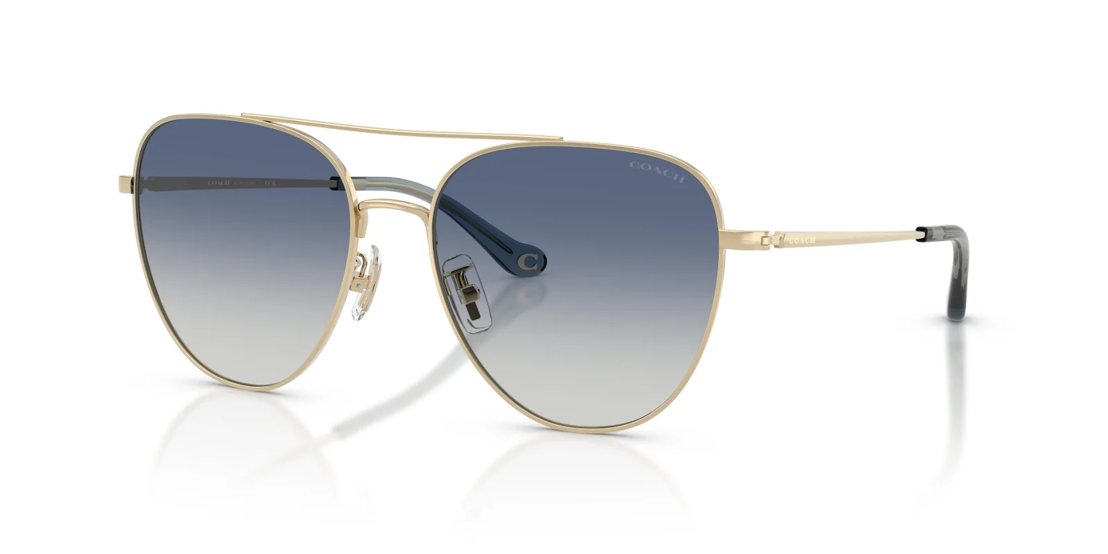 Coach Sunglasses HC7182