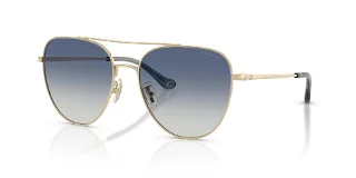 Coach Sunglasses HC7182