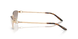 Ralph Lauren Sunglasses RL7095