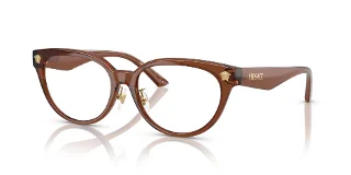 5508 Brown Transparent