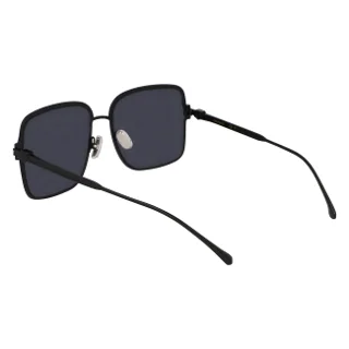Salvatore Ferragamo Sunglasses SF317S