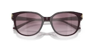 Jimmy Choo Sunglasses JC5057D