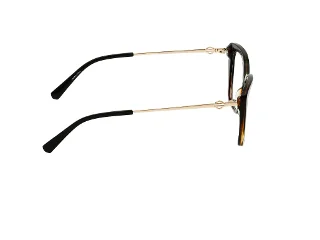 Harley Davidson Eyeglasses HD50119