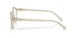 Swarovski Eyeglasses SK2077D
