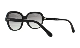 Coach Sunglasses HC8192 L1613