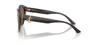 Jimmy Choo Sunglasses JC5007