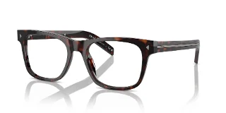17N1O1 Radica Tortoise