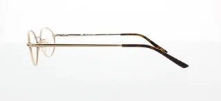 Polo Eyeglasses PP8009