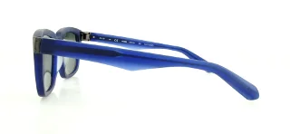 Dragon Sunglasses DR510S ROBBS