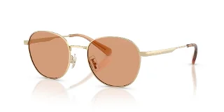 900584 Shiny Light Gold