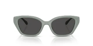 Coach Sunglasses HC8434U