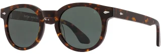 C02 Amber Tortoise