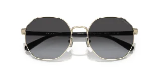 Coach Sunglasses HC7147