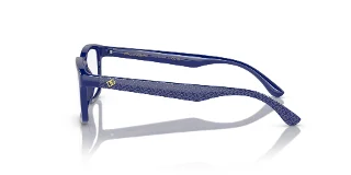 Dolce & Gabbana Eyeglasses DX5097