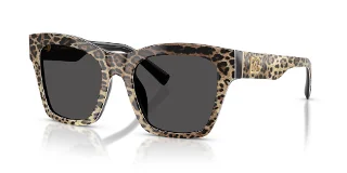 Dolce & Gabbana Sunglasses DG4512