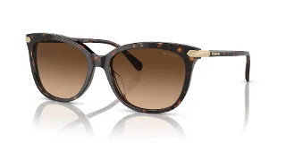 512074 Dark Tortoise