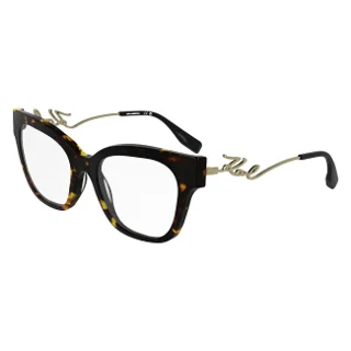 232 Tokyo Tortoise
