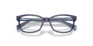 Ray Ban Jr Eyeglasses RY1591