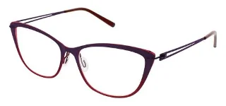 Aspire Eyeglasses CHARMING