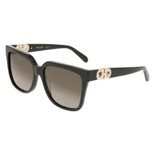 Salvatore Ferragamo Sunglasses SF2109S
