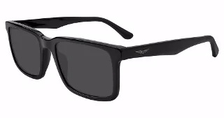 Police Sunglasses SPLP21