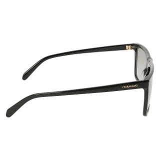 Salvatore Ferragamo Sunglasses SF2123S