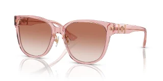 543413 Peach Transparent