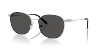 400187 Silver