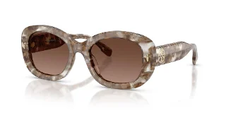 2026T5 Transparent Brown Tortoise