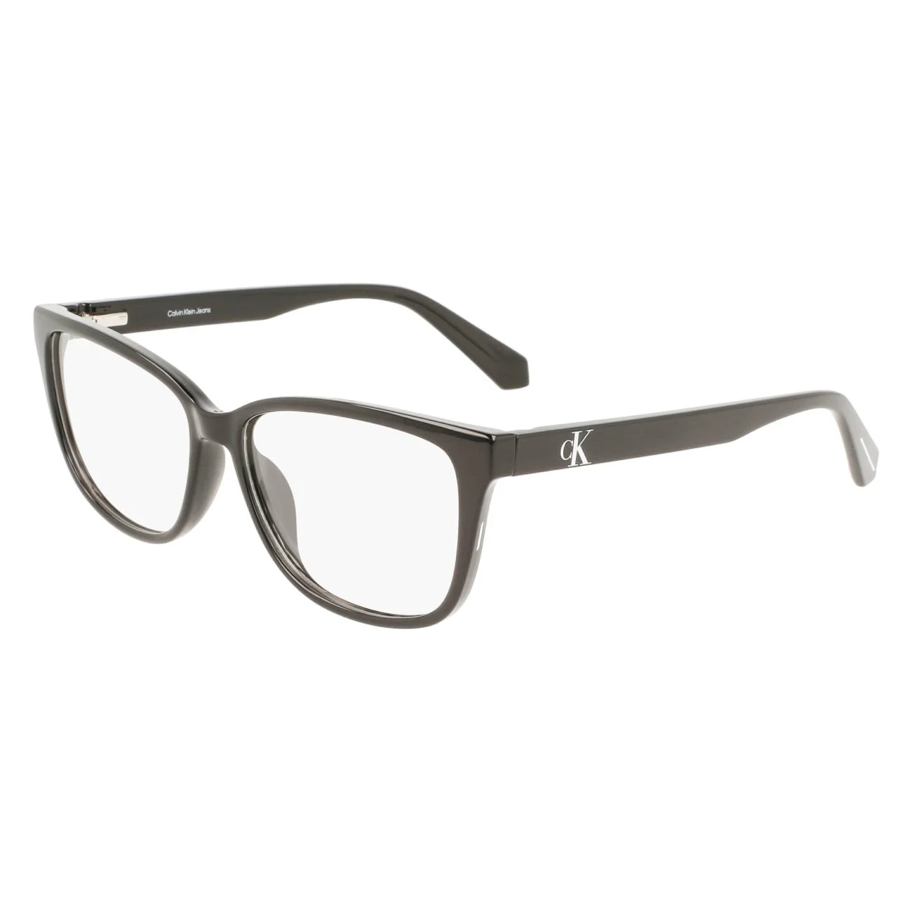 Calvin Klein Collection Eyeglasses CKJ22619