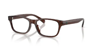 6282 Shiny Transparent Brown