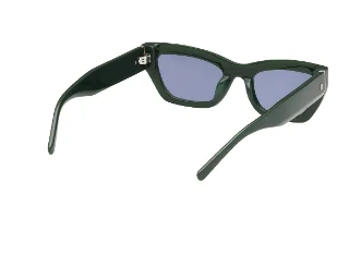 Abercrombie & Fitch Sunglasses AF00027