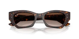 Ray Ban Sunglasses RB4430