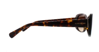 Coach Sunglasses HC8168 L156