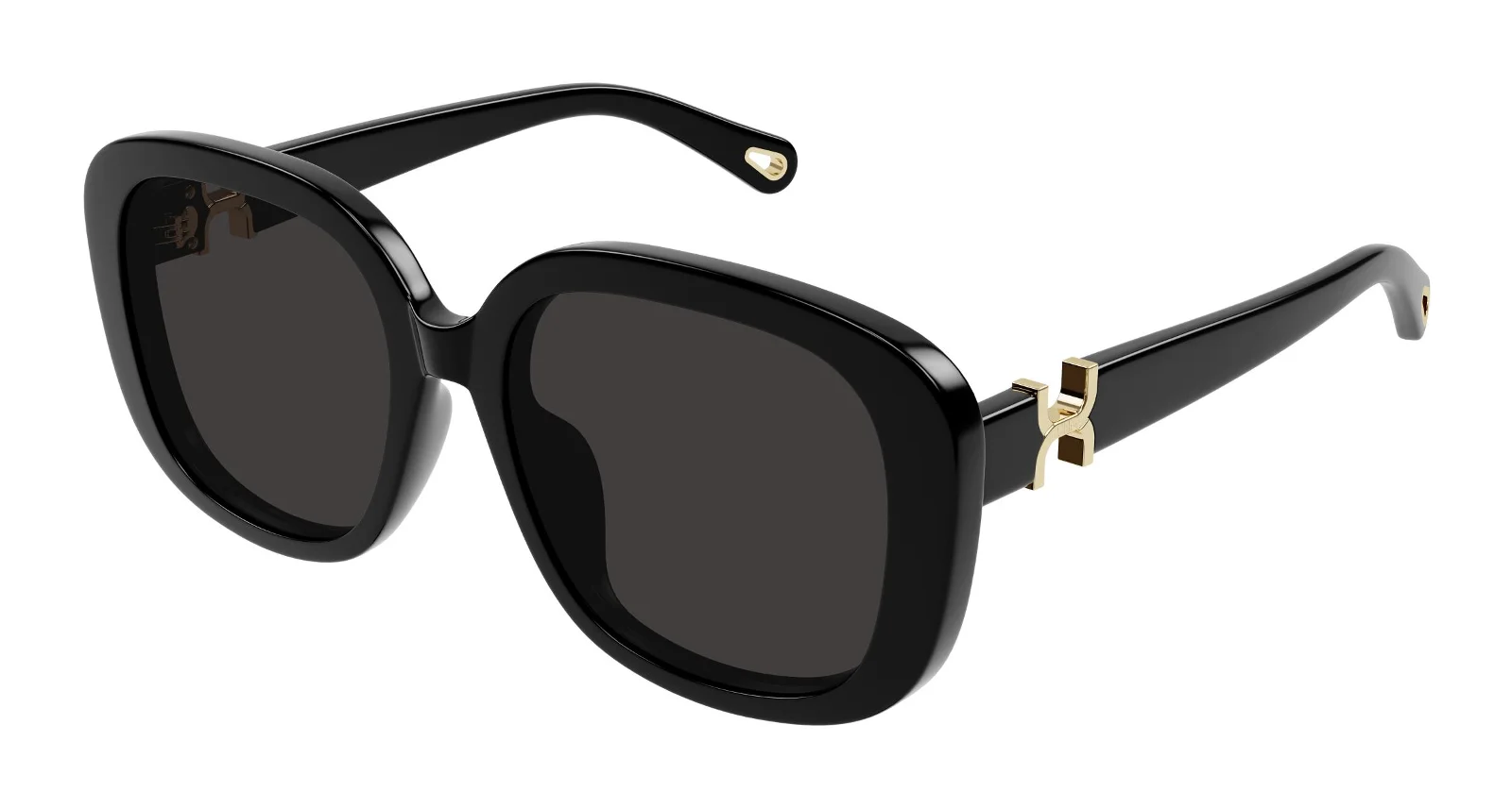 Chloe Sunglasses CH0303SK